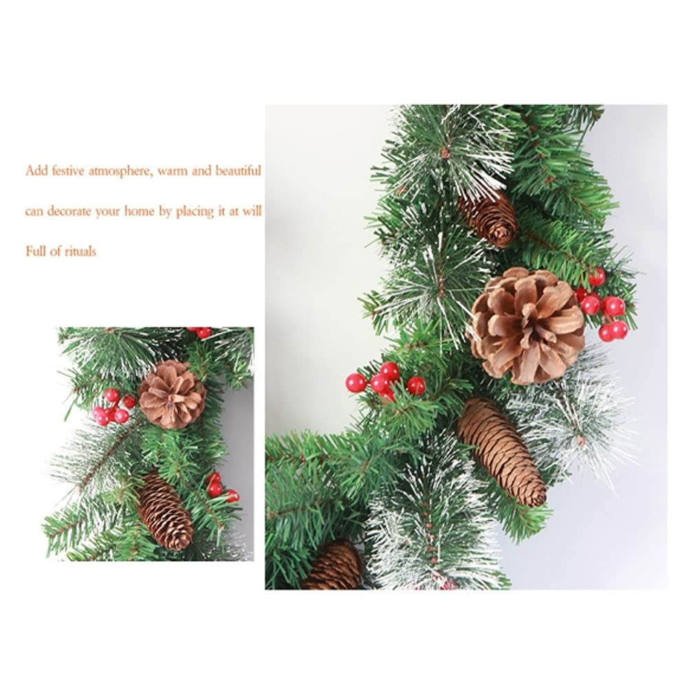 View 4