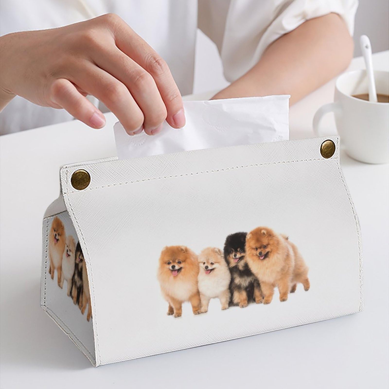 Amazon｜ティッシュケース ポメラニアン かわいい いぬ 犬 ティッシュ