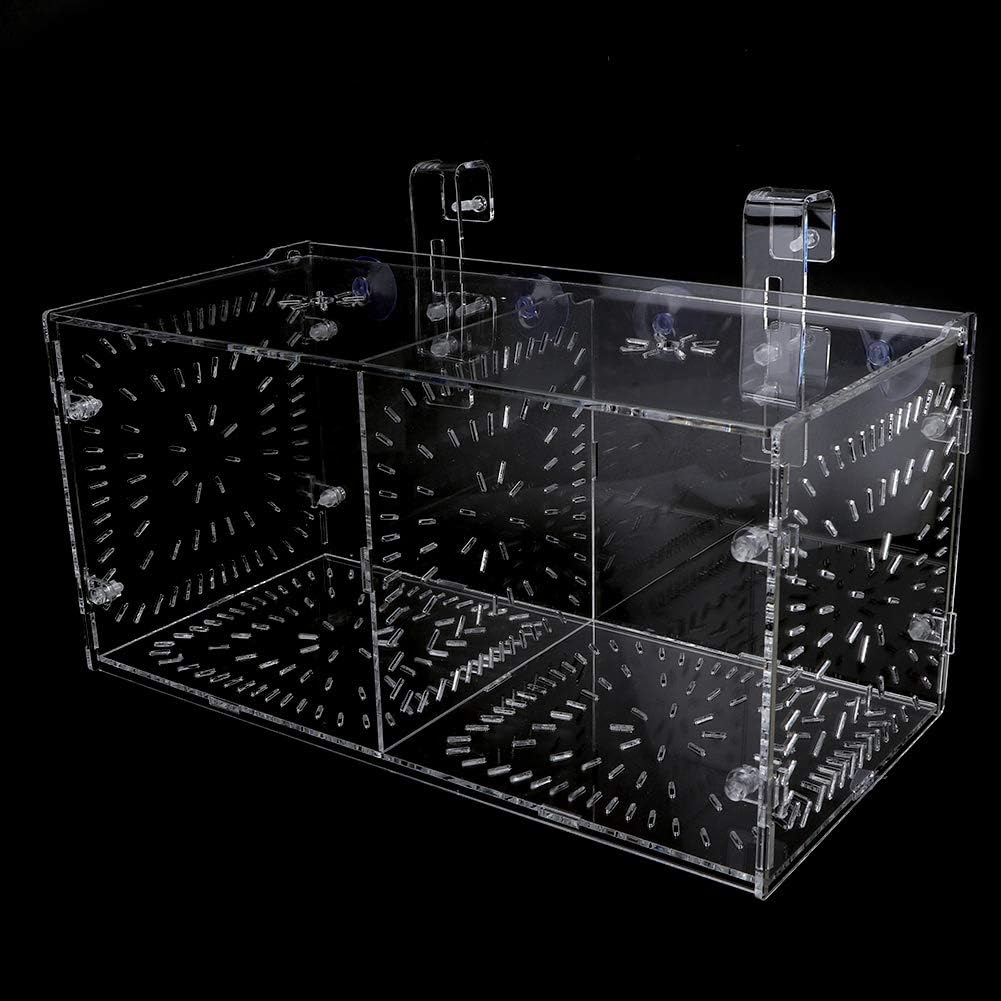 Fydun Fish Isolation Breeding, Box Acrylic Incubator Ing Seedlings Incubation Reproduction Aquarium Ery and Parenting for Aquarium (30CM*15CM*15CM)