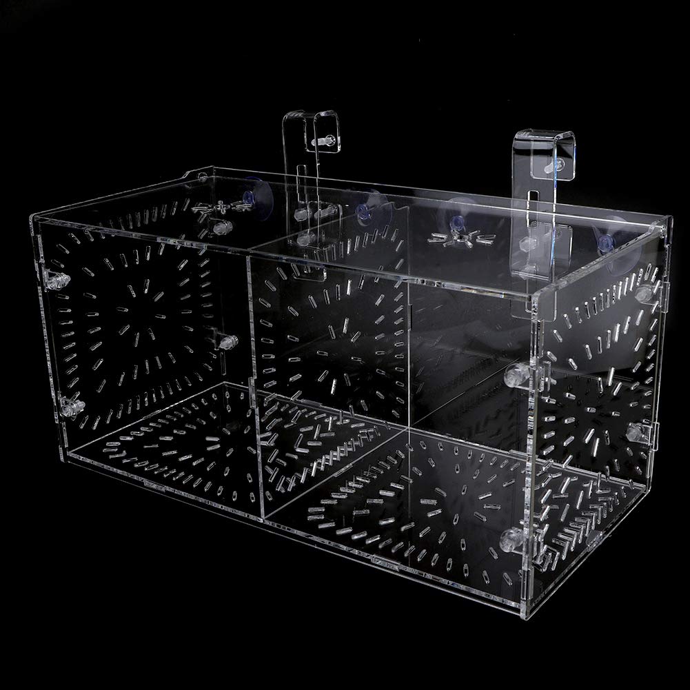 Boîte d’Isolation de Poissons en Acrylique avec Plaque d’Isolation pour Poissons, Crevettes, Clown et Guppy