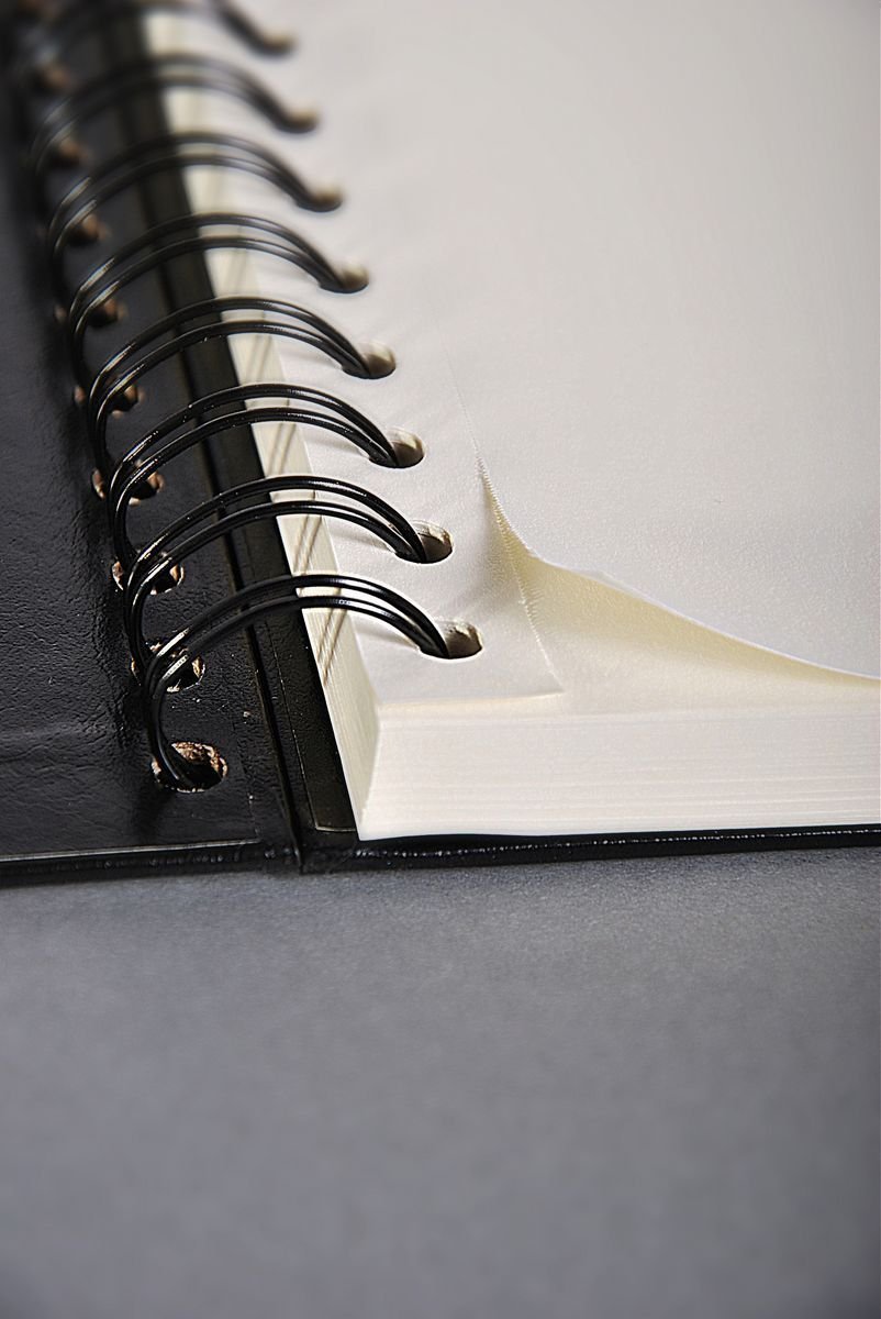 Clairefontaine 96666C Carnet Spiralé Esquisse - 100 Feuilles Papier Dessin Ivoire au Grain Très Léger - Feuilles Détachables - 24x30 cm 90g - Couverture Noire Imitation Cuir