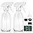Tecohouse Glass Spray Bottle 8 oz, Clear Small Empty Refillable Sprayer Container with Labels, Funnel, Lids, Graduated Pipettes - Handheld Size
