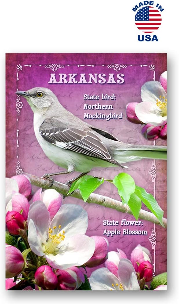 US STATE BIRDS AND FLOWERS Set of 50 postcards. United States bird and flower symbols post cards variety pack. Made in USA.