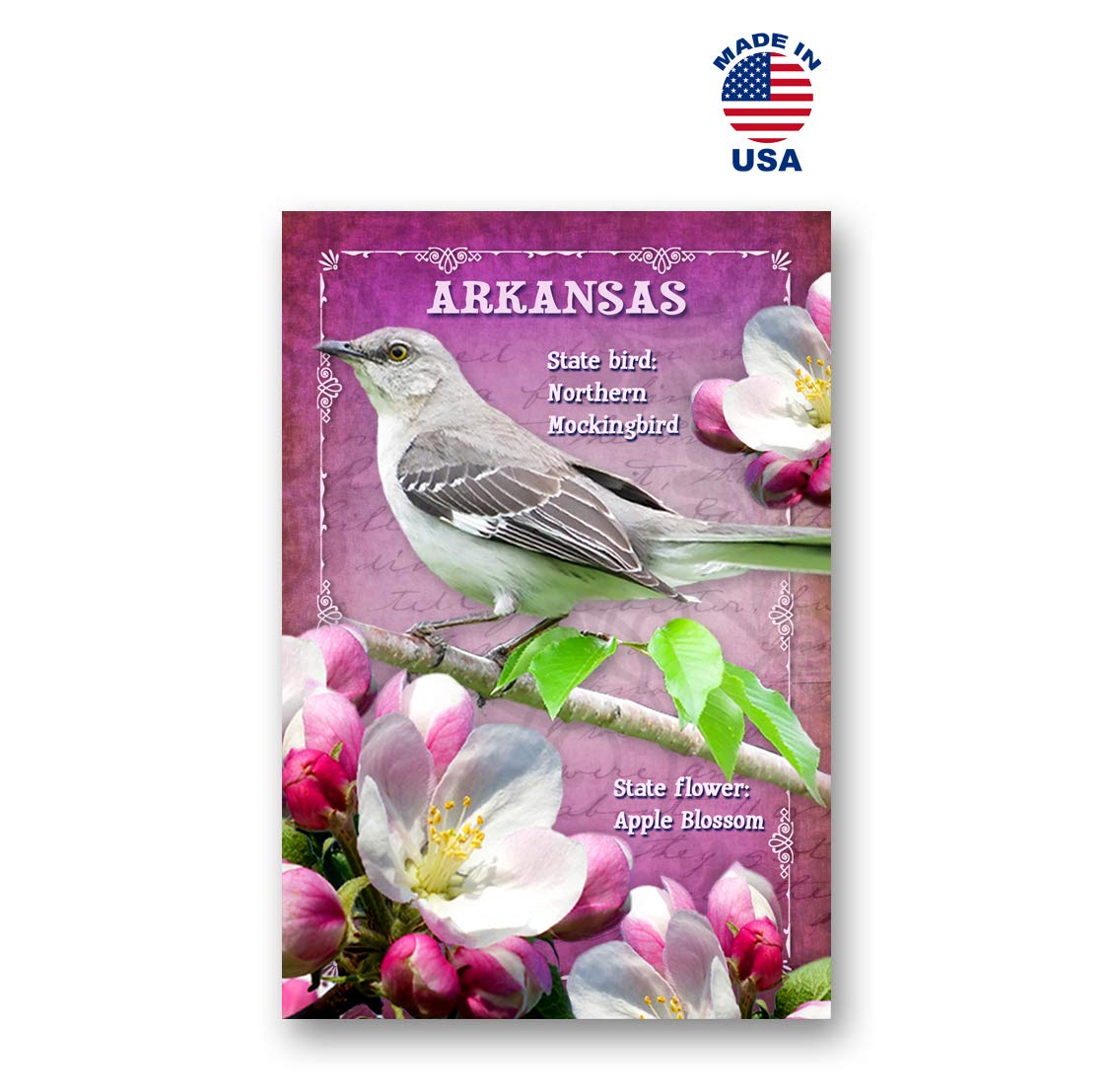US STATE BIRDS AND FLOWERS Set of 50 postcards. United States bird and flower symbols post cards variety pack. Made in USA. - Image 8