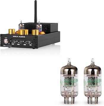 HiFi Bluetooth 5.0 Vacuum Tube Amplifier + Matched GE JAN 5654W Tubes Bundle | 320W Phono Amp for Turntables w/Tube Upgrade | Audiophile Sound Enhancement