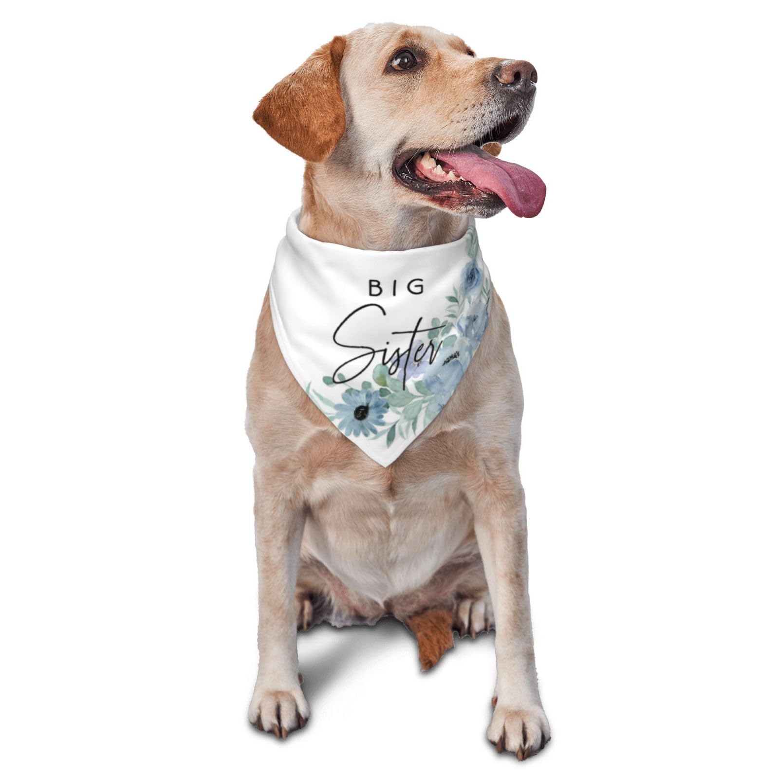 vercosee Big Sister Dog Bandana,Gender Reveal,Baby Announcement Bandana,Pet Scarf, Pet Accessories for Dog Lover Owner (Blue Flower)