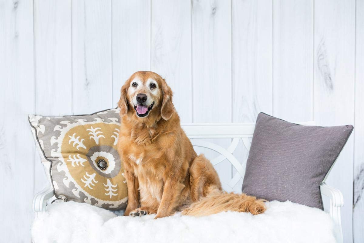 Amazon | Kate 3x2m 木目調 背景布 白い木製の板 背景紙 テクスチャ