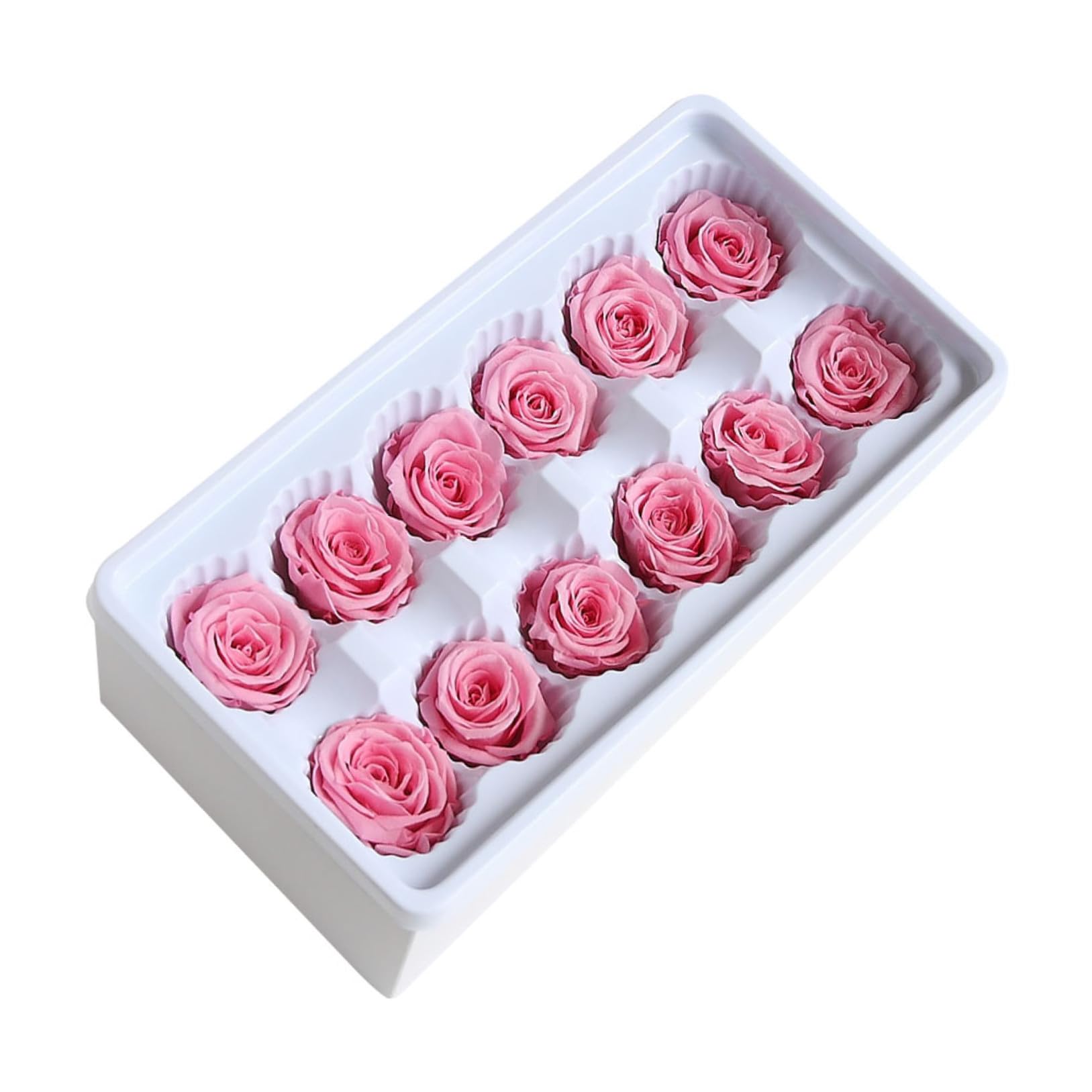 Flores preservadas para boda: accesorio de 12 rosas claras de 3-4 cm para mesas de boda