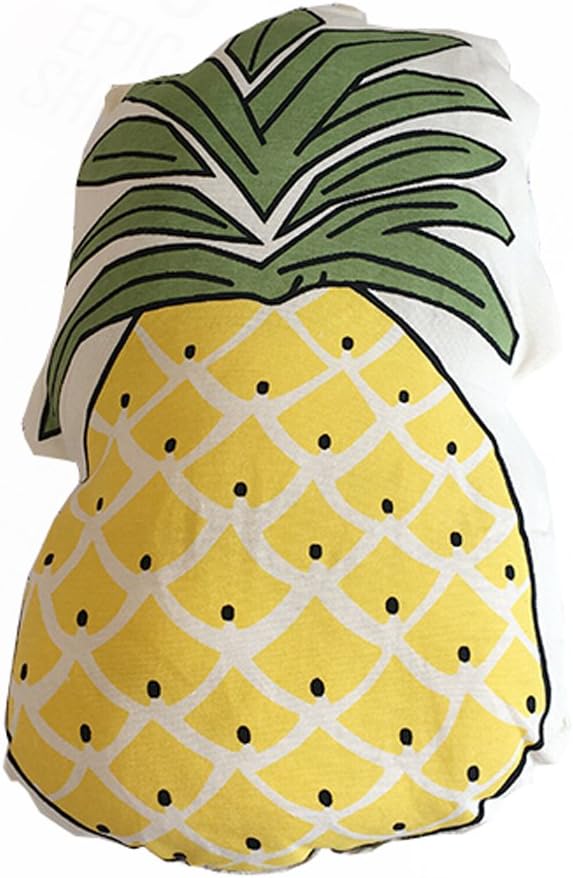 MYtodo Lovely fruit pineapple cactus sofa pillow cushions toy (pineapple)