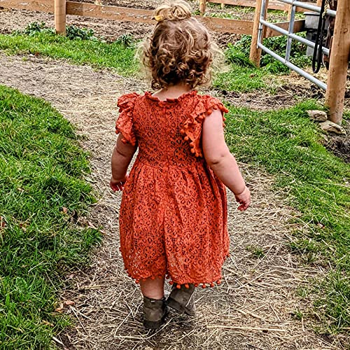 Niyage Toddler Girls Elegant Lace Pom Pom Flutter Sleeve Party Princess Dress Brick Red 120 #TOP6