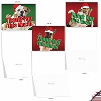 Vista 4 de The Best Card Company - 10 tarjetas de agradecimiento de Navidad (4 x 5.12 pulgadas) - Lindos animales navideños, saludos de gratitud surtidos