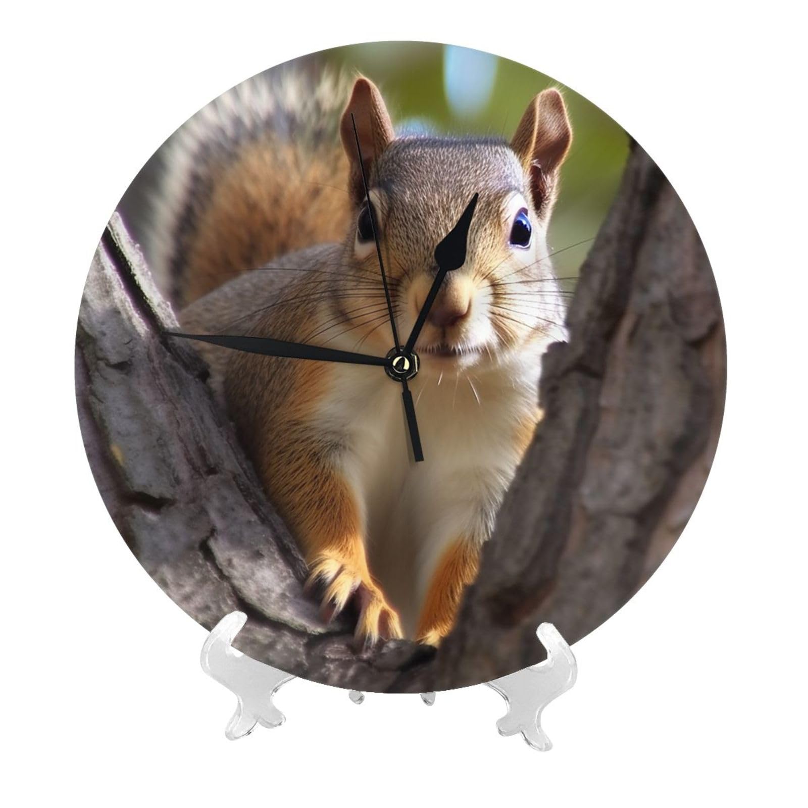DWVTSLH Squirrel in The Tree Wall Clock 10 Inch Silent Non-Ticking Modern Clocks Battery Operated - Decorative Wall Clocks for Bedroom Living Room Kitchen Office Wall Decor Gift Idea