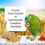 LAFEBER'S Classic Nutri-Berries Pet Bird Food, Made with Non-GMO and Human-Grade Ingredients, for Parrots, 3.25 lb - Image 4