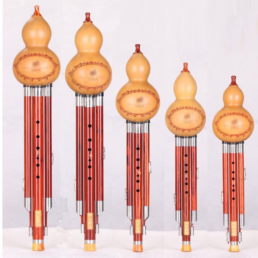 Kalebas Zijde Met Negen Holes Breed Bereik Muziekinstrument Kalebas Zijde Leer De Kalebasfluit In De Toonsoort C En B Piccolo-muziekinstrument (Color : Wood_F-key