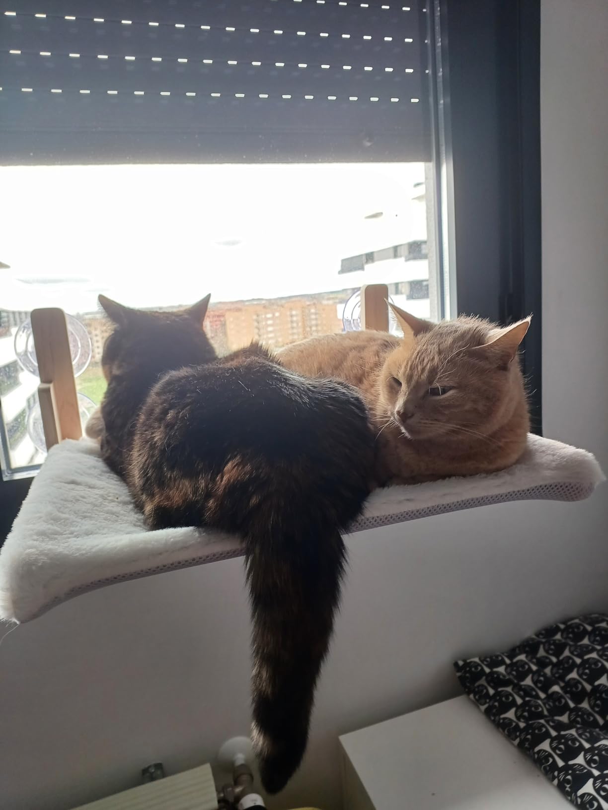 Hamaca para Gato de Ventana - Blanco