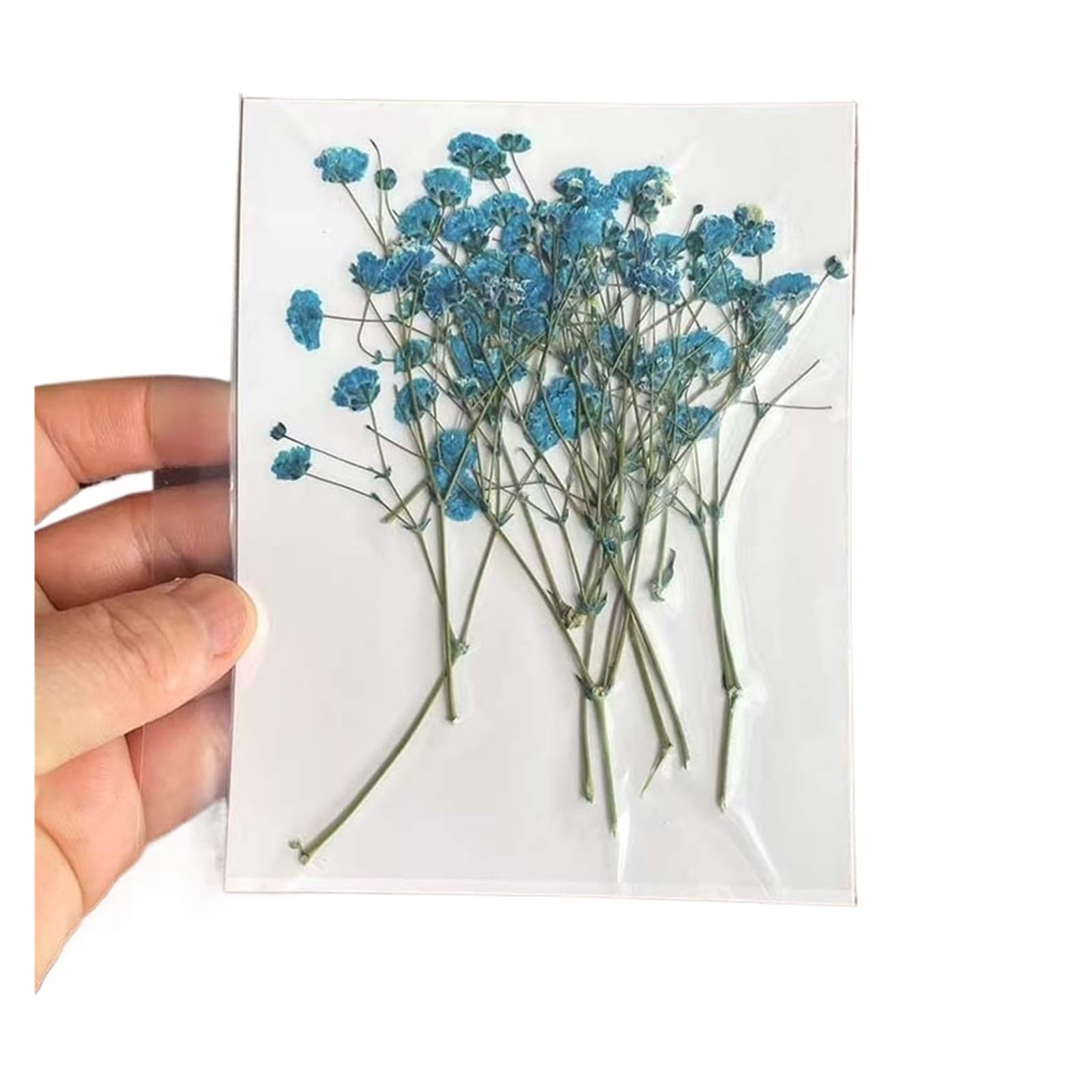 WJIAYAO dried gypsophila flowers 7-10CM, Dried Pressed Flowers Babys Breath,Dry Press Gypsophila Branch DIY for Bookmark Card(02-Blue)