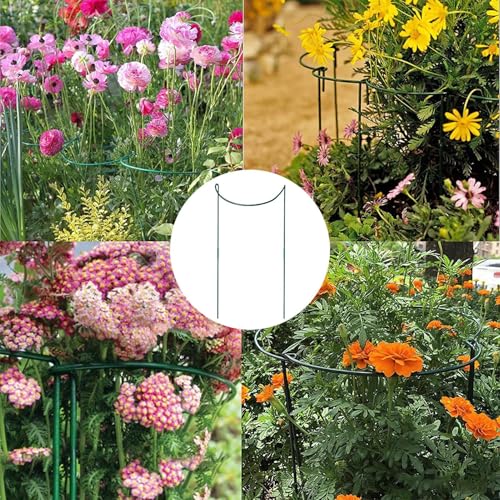 Support de tige d'escalade en métal robuste de jardin