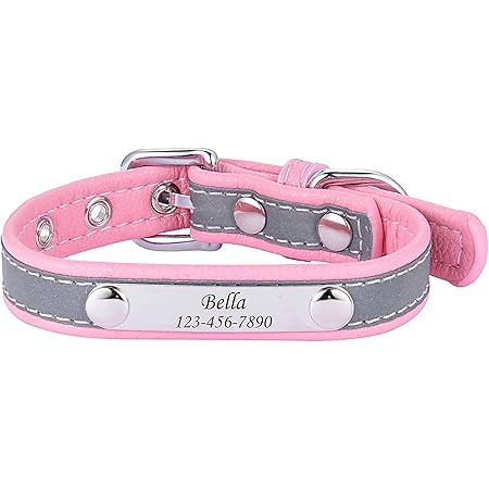 Amazon Hooami 迷子札 カラー選択可 猫 夜光 首輪 名入れ Idタグカスタム チョーカー ネームタグ 革 かわいい 子犬 首輪 小型犬 大中型犬 おしゃれ ペット用品 Hooami ベーシック首輪 通販