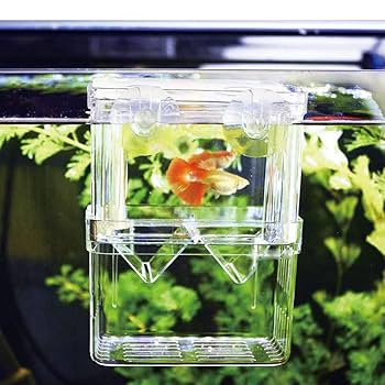【中古】 水産増養殖システム ３/恒星社厚生閣 楽天市場】水産増養殖システム 3 貝類・甲殻類・ウニ類・ 藻類の通販
