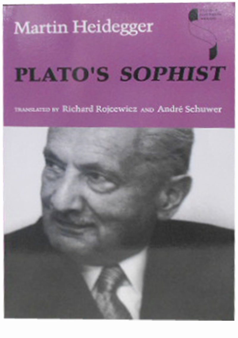 Plato's Sophist (Studies in Continental Thought)