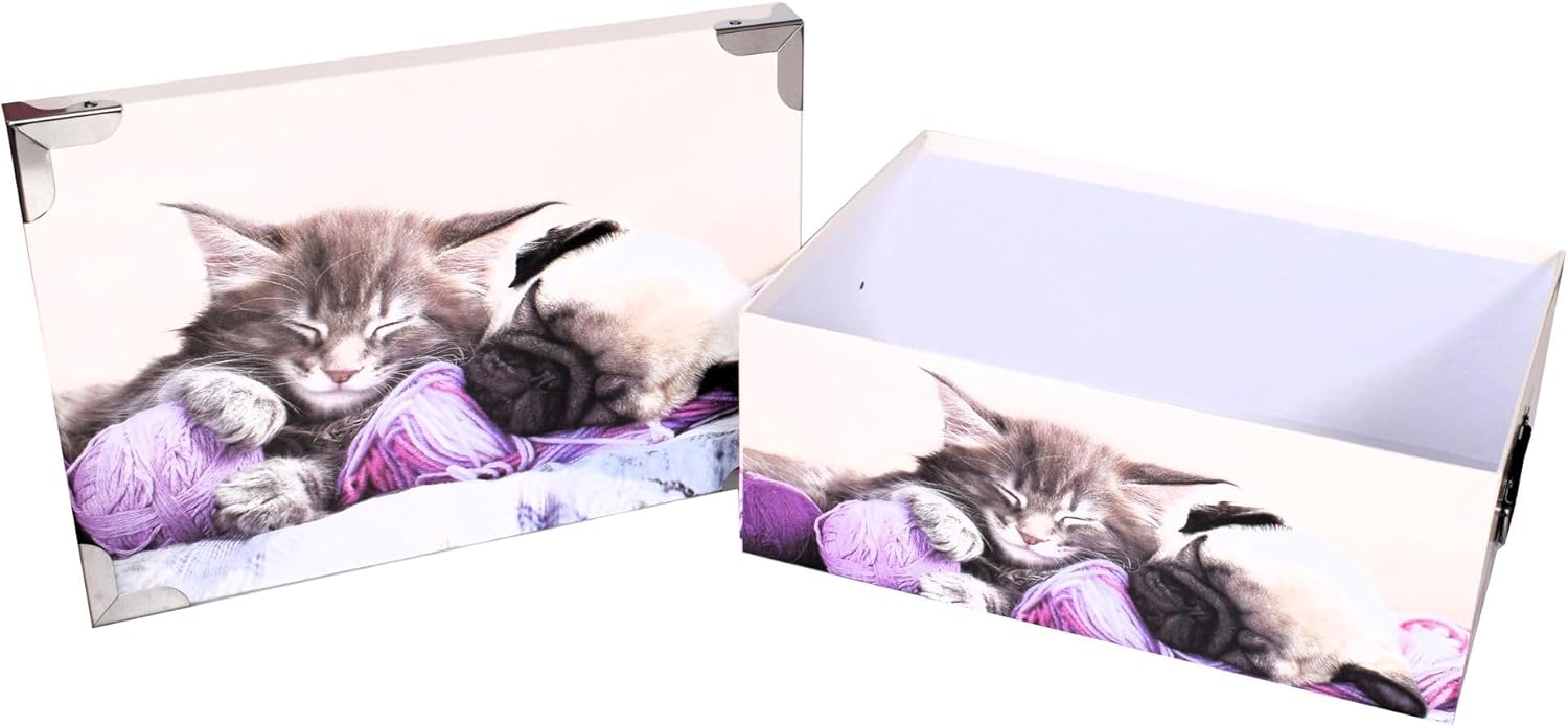Cat 3 Large Nesting Storage Boxes with Stackable Lid Printed Cardboard