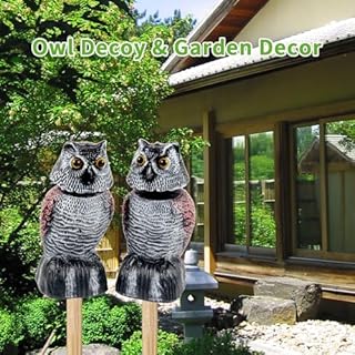 BobbleHead Owl Decoys Sculpture to Scare Birds Away, 2-Pack 8.3" Fake Owl Plastic Scarecrow Bird Deterrent, Natural Enemy Pest Repellent, Garden Decor Statues for outside, Patio, Lawn, Yard Decoration