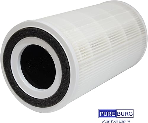 Miniatura 2 de PUREBURG Filtro de repuesto AP04 compatible con purificador de aire Conair AP04, paquete de 2 unidades H13 True HEPA Air Clean Medium Room