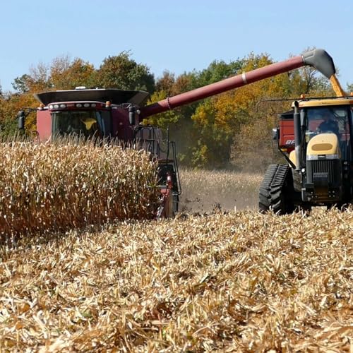 『2025 Fall fertilizer outlook: Management tips during economic uncertainty』のカバーアート