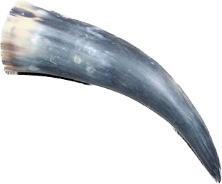 1 Raw Unfinished Cow Horn #2261 Natural Colored