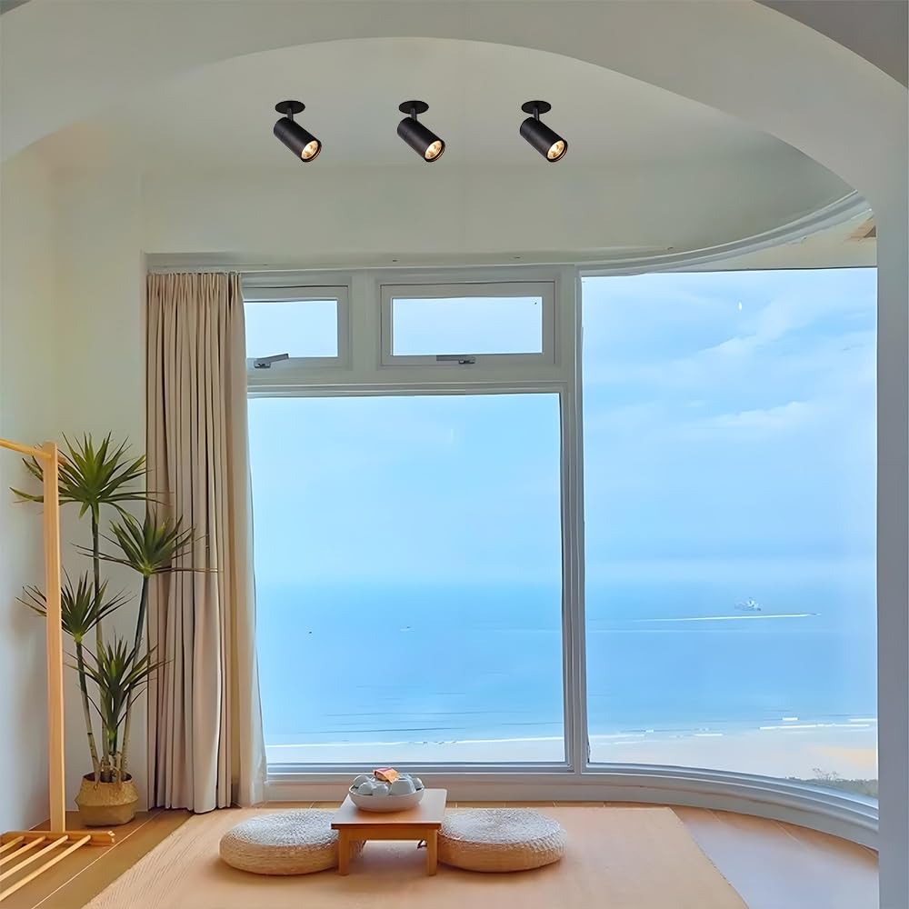 Jadssox Faretti Da Soffitto A LED Con Montaggio A Filo Orientabili, Faretti Da Incasso A Soffitto Con Rotazione A 360°, Illuminazione D'accento Direzionale For Quadri Artistici(Black-6000K,30W)