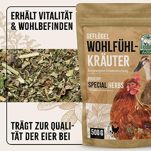 AniForte Wohlfühlkräuter für Hühner 500 g - Natürliche Kräuter für Geflügel unterstützen Immunsystem & Verdauung, Leckerchen für Hühner jeden Alters, mehr Vitalität