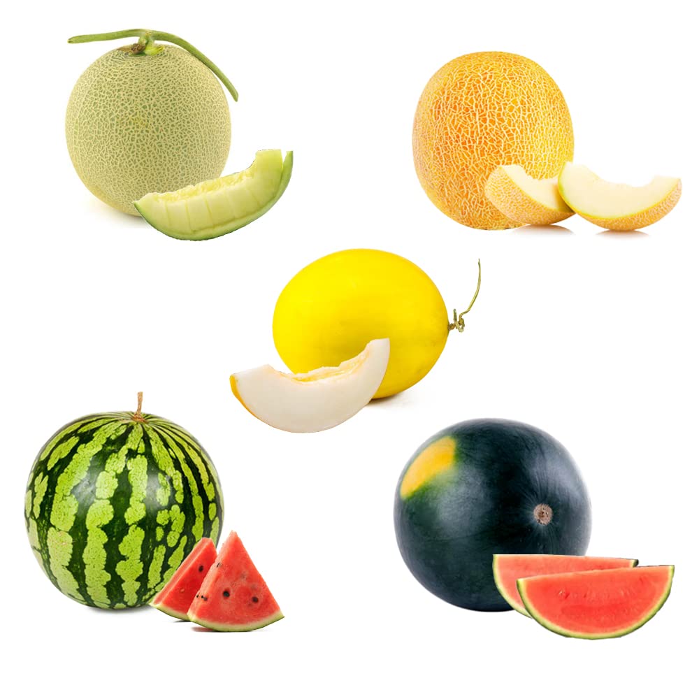 250+ Watermelon Seeds, 5 Variety Packs Melon Fruit Seeds Garden Non-GMO Heirloom Cantaloupe, Crimson Sweet Watermelon, Yellow Canary Melon, Green Flesh Honeydew Melon, Sugar Baby Watermelon - 4