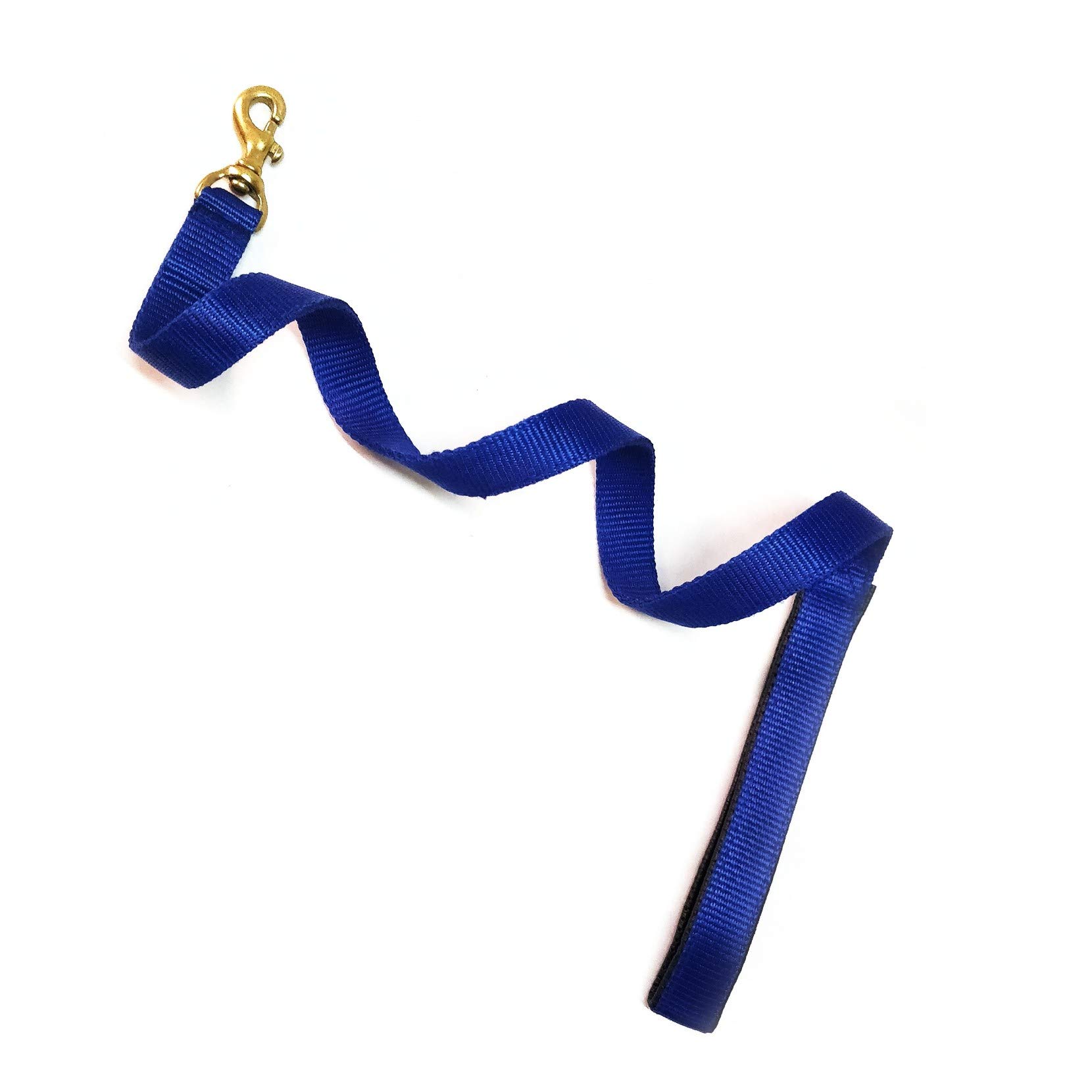 PnM Heavy Duty Nylon Short Leash 1 inch Dog Short Leash with Brass Hook - Blue (B07D74FWVC) Amazon Price History, Amazon Price Tracker
