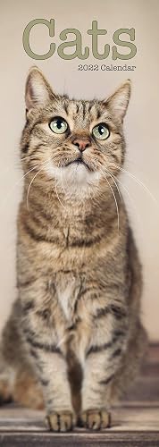 Cats Slim Calendar 2022 | Cute Slimline Calendar - 12 Month: Address Books, Journals &amp; More