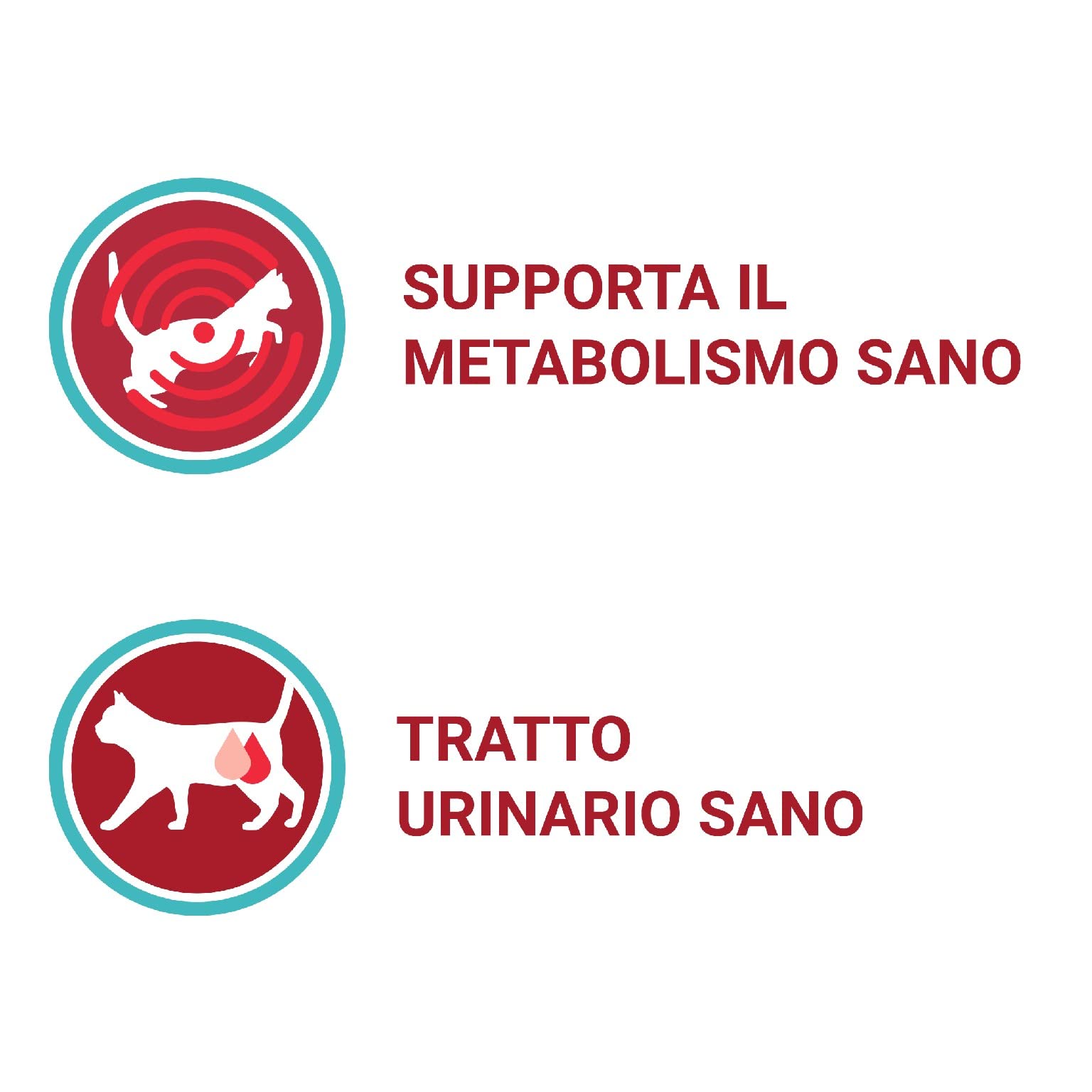Purina One Umido Gatto Adult Filettini in Salsa con Salmone e Carote, con Tacchino e Fagiolini - 48 Buste da 85 g Ciascuna (12 confezione da 4 X 85 g)