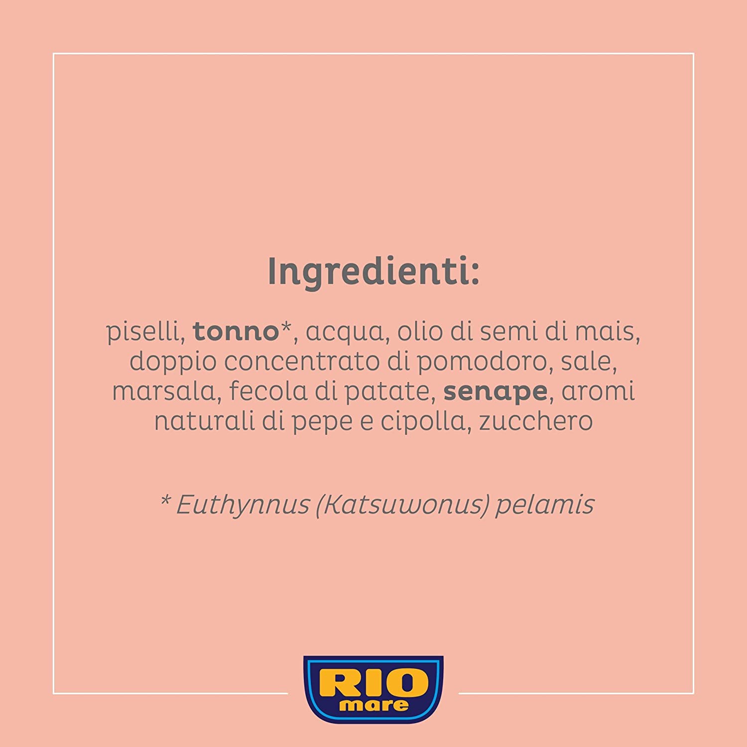 6x Rio Mare Piselli e Tonno fertiggerichte Thunfisch Erbsen 2x160g Instant food