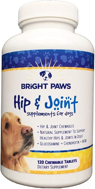 Amazon Com Bright Paws Hip And Joint Supplements For Dogs With Glucosamine Chondroitin Msm Supports Mobility Healthy Joints And Arthritis Relief 120 Count Made In Usa Pet Supplies