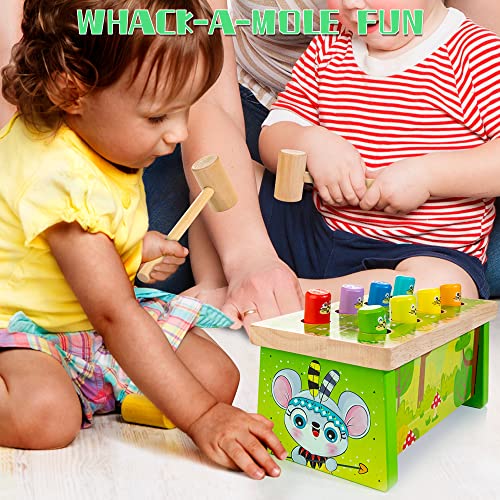 KIDWILL Wooden Hammering Pounding Toy for Kids, Early Developmental