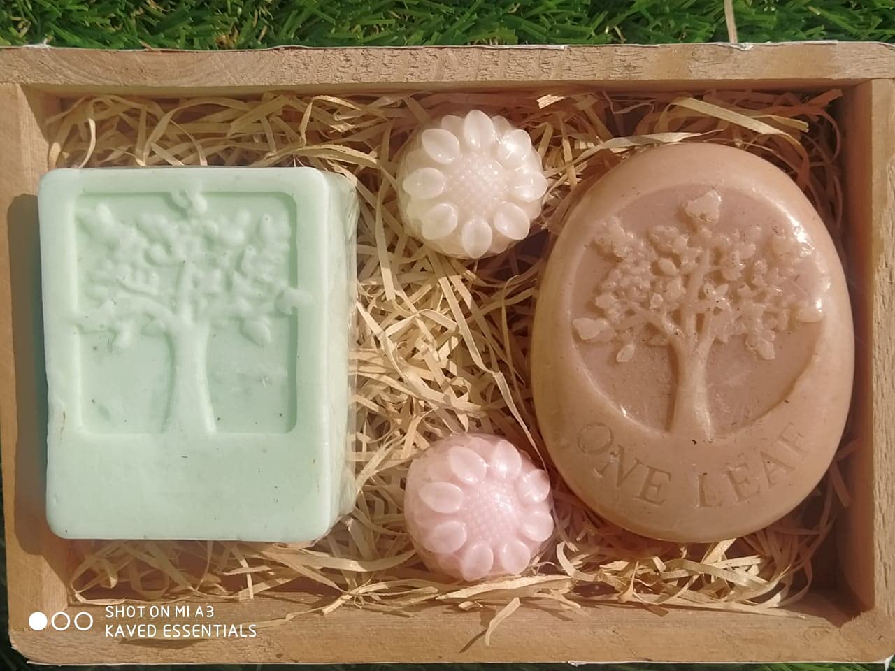 Kaved Essentials Aloe Vera & Sandalwood handmade soap set (250gm)