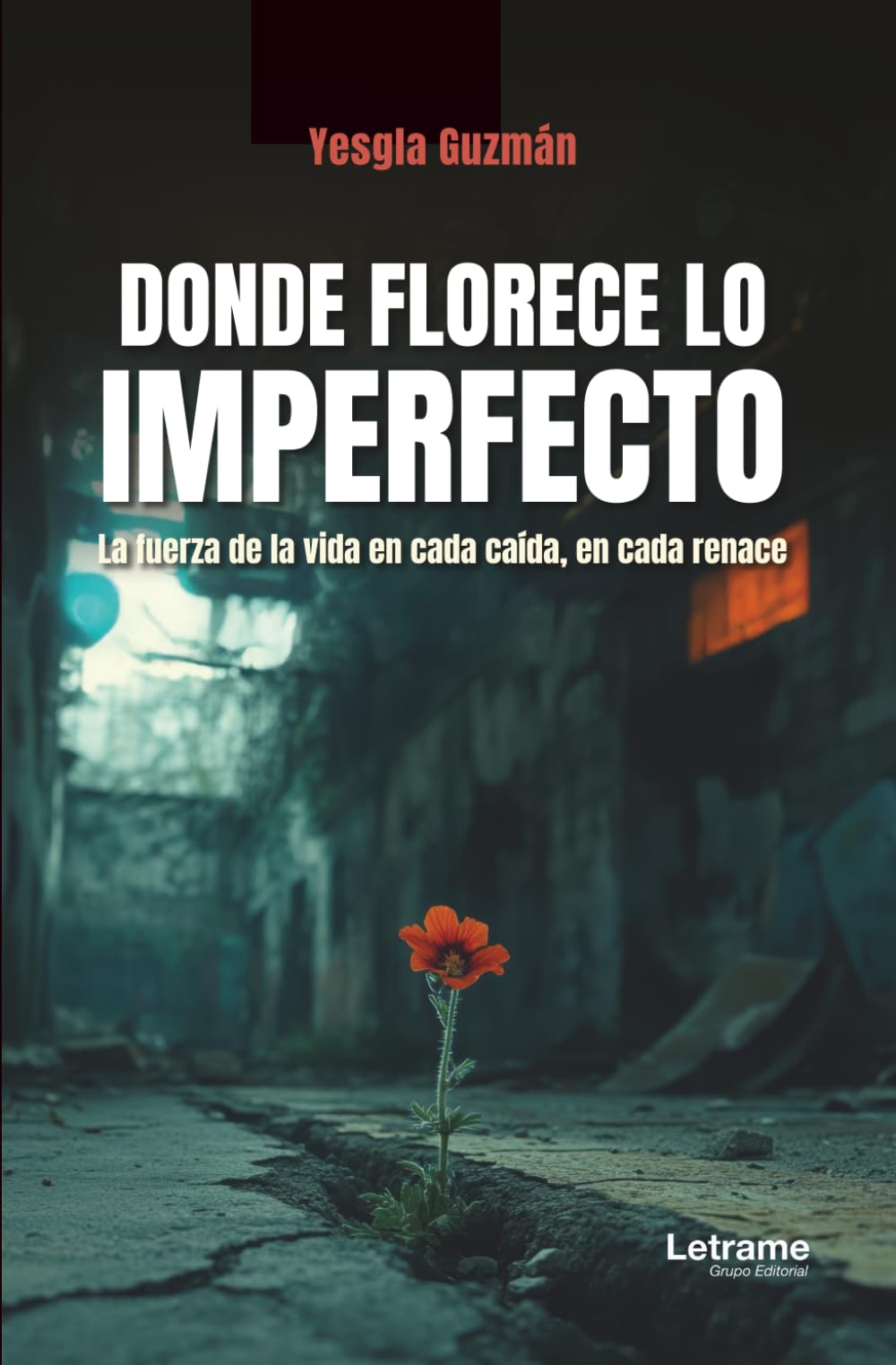 Donde florece lo imperfecto: 1 (No ficción)