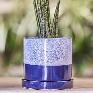 CHIVE �Minute� Ceramic Planter Pot � Cute 5� Colorful Succulent Pots for Indoor & Outdoor House Plants � Beautiful Modern Farmhouse Kitchen Decor � Cobalt Blue