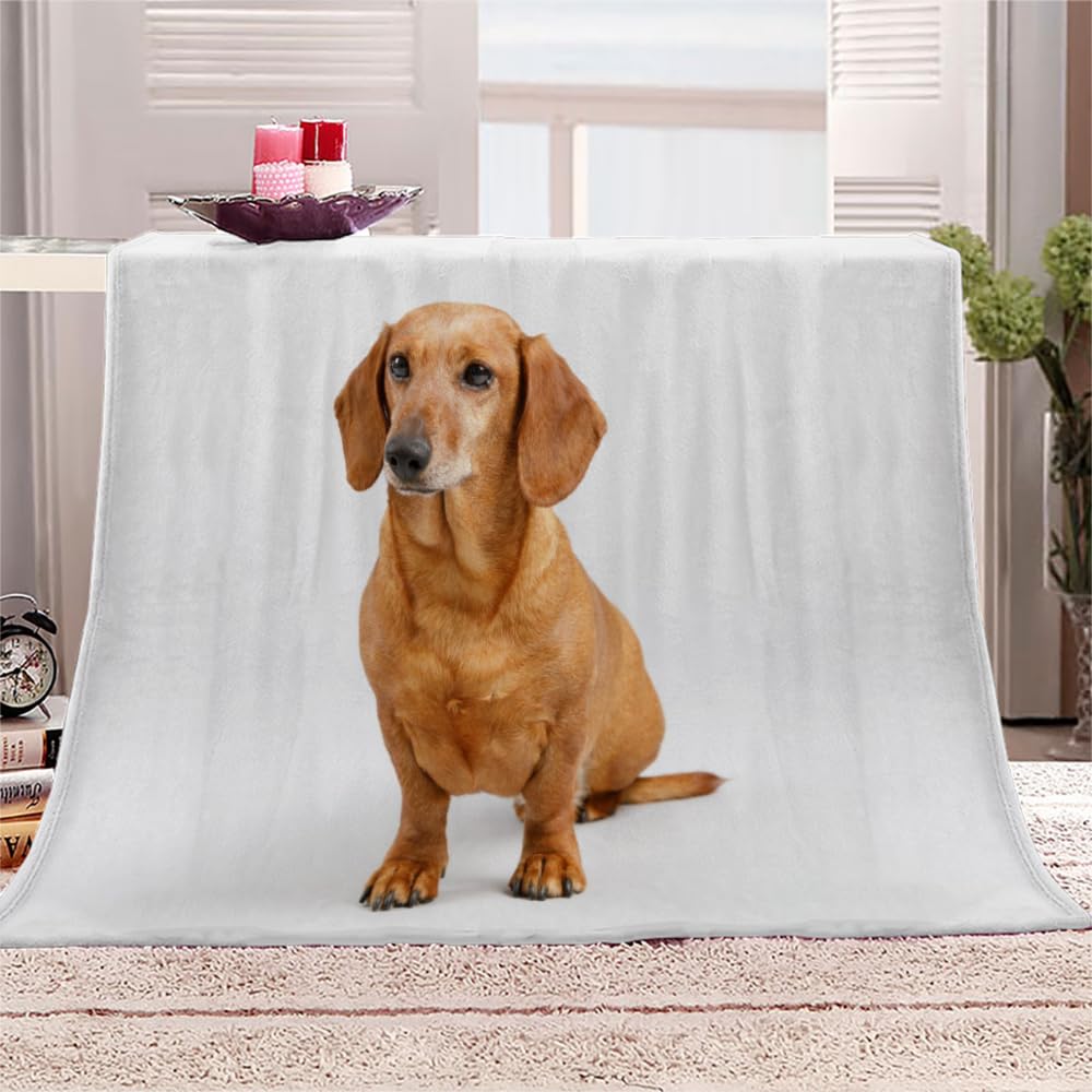 Dachshund Throw Blanket Dog Animal 3D Print Flannel Fleece Blanket Soft Warm Cozy Blanket for Bed Couch and Sofa Fluffy Plush Blanket for Adults Kids Girls Boys 28"x40"