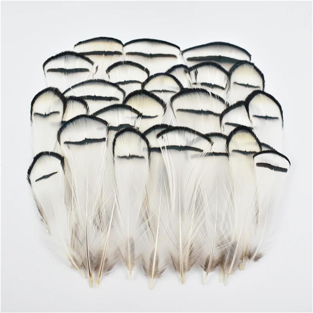 Piume naturali di fagiano, Piume di fagiano naturali realizzate a mano 4-8 cm Confezione multipla artigianale fai-da-te(200 Piece)