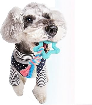 Amazon ペット噛む玩具 犬 ペットおもちゃ ワンちゃん 遊び 歯ぎしり 天然ゴム 丈夫 耐久性 清潔 安全 ストレス解消 小型犬用 星 ブルー 15 7 5 1 5ｍｍ 新作店舗 噛むおもちゃ 通販