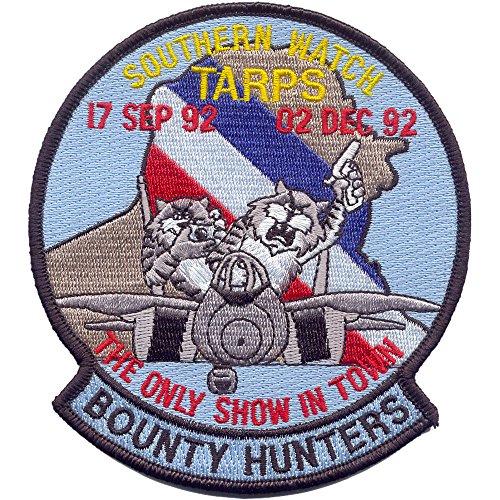 VF-2 F-14 Tomcat Patch
