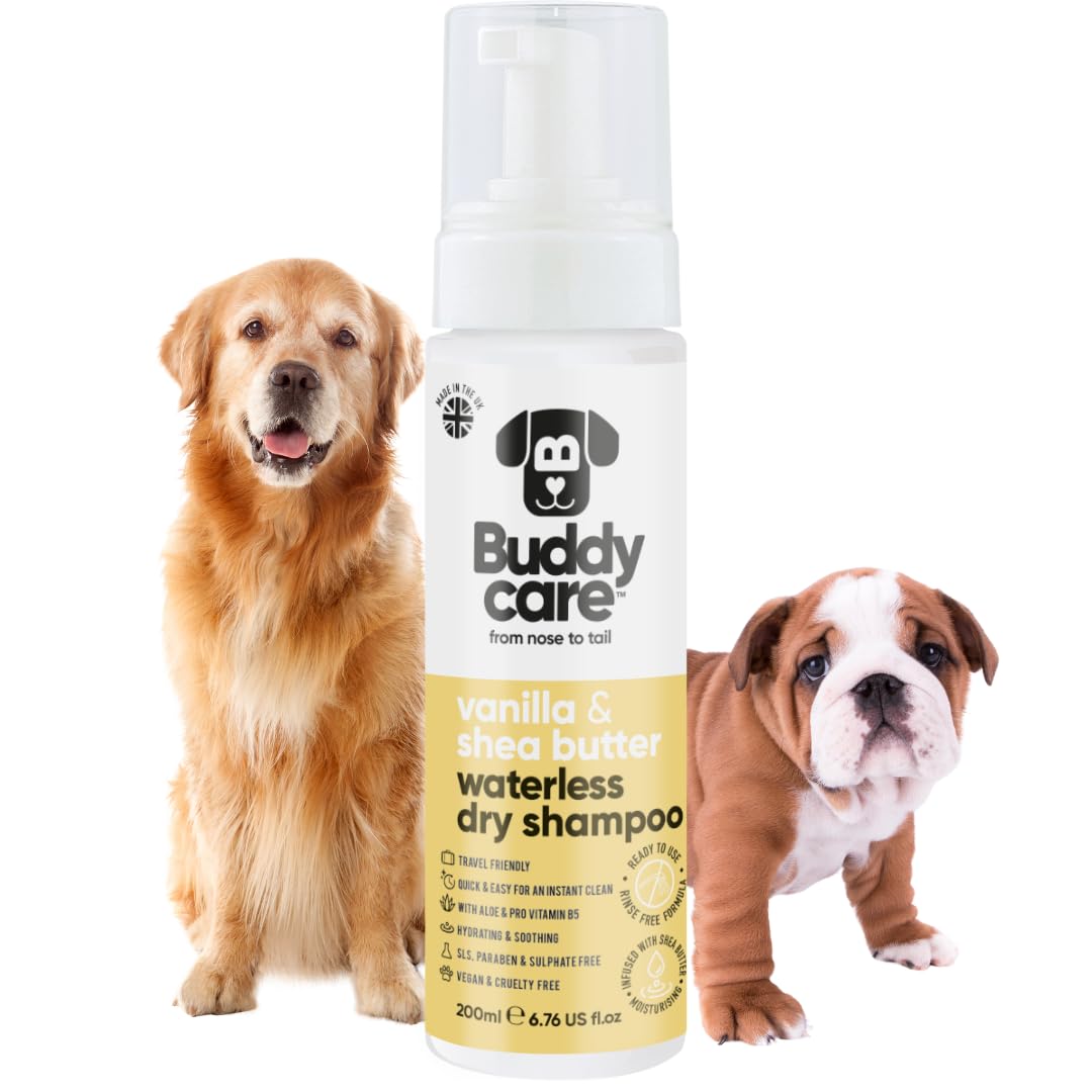 Buddycare Bezwodny, suchy szampon dla psów (200 ml) | Wanilia i masło shea szampon dla psów bez spłukiwania do skóry wrażliwej, naturalny, łatwy w użyciu dla świeżego, czystego sierści