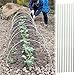 LZMZMQ Telaio di Copertura in Rete Pieghevole da 200 240 260 280 300 350 400 Cm, Tenda Ad Fai da Te da Giardino, Pali Solidi(20pcs,8mm(3/10')-200cm(6.5ft)) immagine