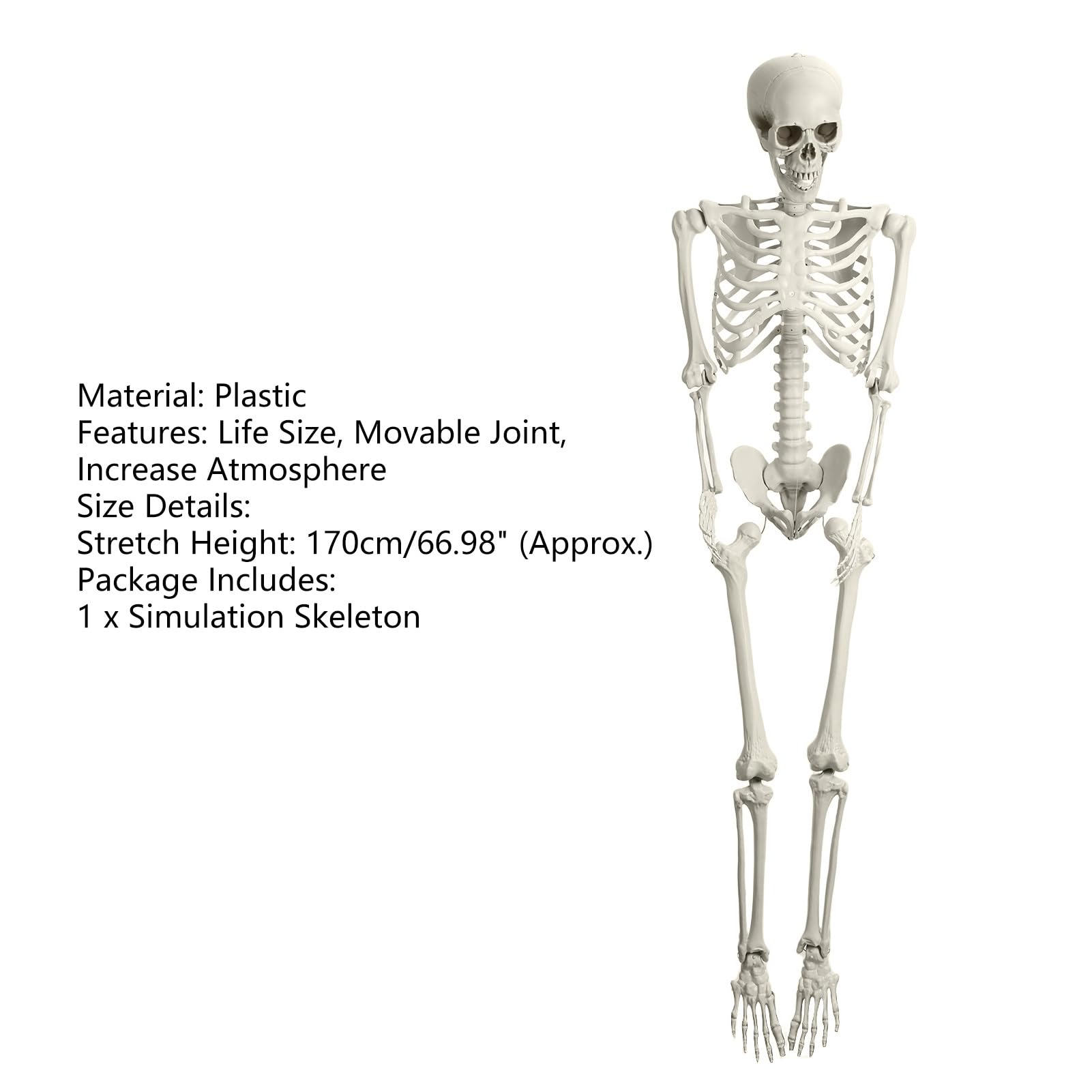 Scheletro di Halloween, 165 cm, scheletro a grandezza naturale, giocattolo scheletro, scheletro snodabile, a grandezza naturale, articolazioni mobili per tutto il corpo, per prato, cortile
