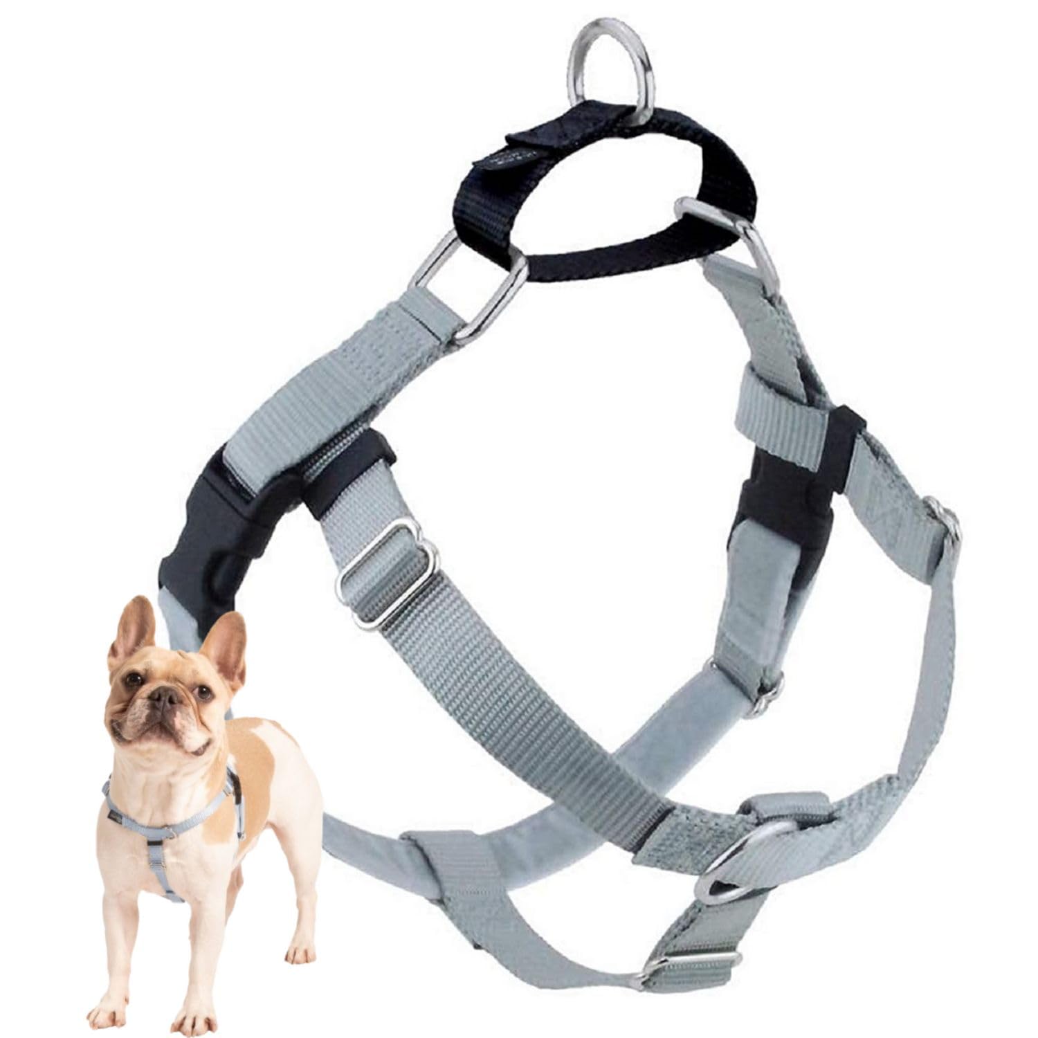 2 Hounds Design Freedom No Pull Dog Harness, Adjustable Harness, Easy Walking & Comfortable Control, Fits Small, Medium & Large Dogs, Solid Colors,