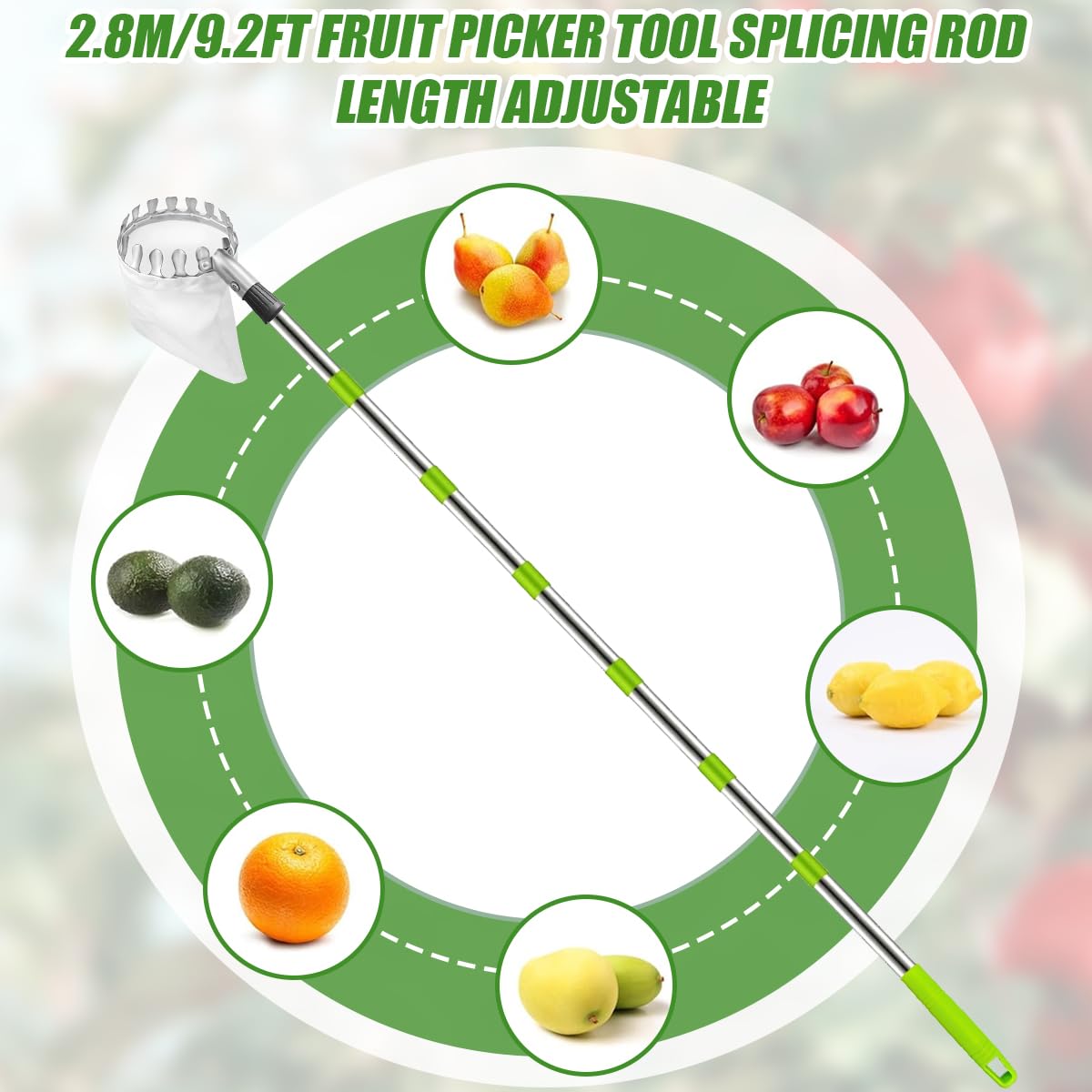 Raccogli Frutta Con Borsa per Grembiule – 2,8 m/9,2 ft Strumento Con Manico Telescopico, Asta Di Collegamento in Acciaio Inox E Sacchetto Di Immagazzinaggio, Picker per Apple Limone Cherry